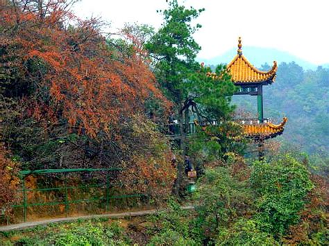 韶山峯有哪些景點?湘東區的韶山峯，不僅僅是自然風光的寶庫，更是歷史文化的瑰寶。